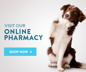 online pharmacy banner
